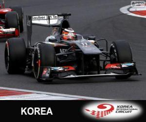 yapboz Nico Hülkenberg - Sauber - Kore uluslararası devre, 2013
